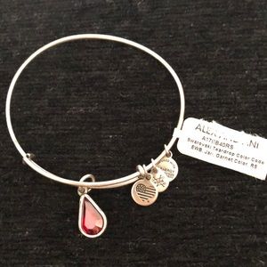 NWT Alex and Ani Silver January Garnet Swarovski bracelet